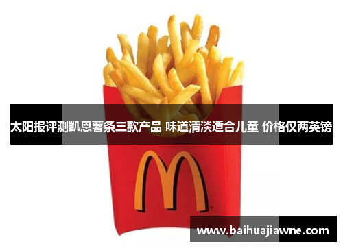 太阳报评测凯恩薯条三款产品 味道清淡适合儿童 价格仅两英镑